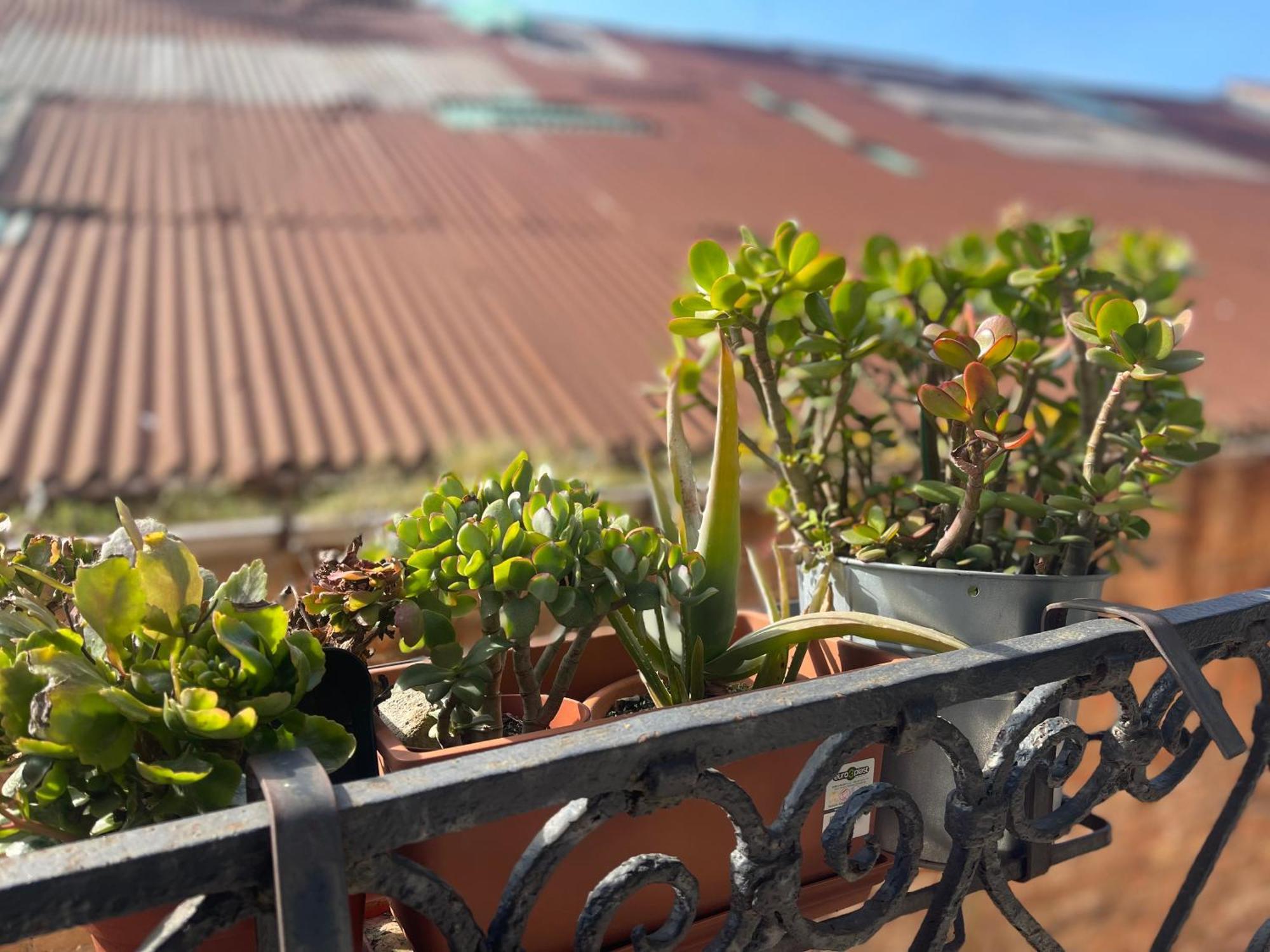 Santa Caterina Hotel Venice Luaran gambar